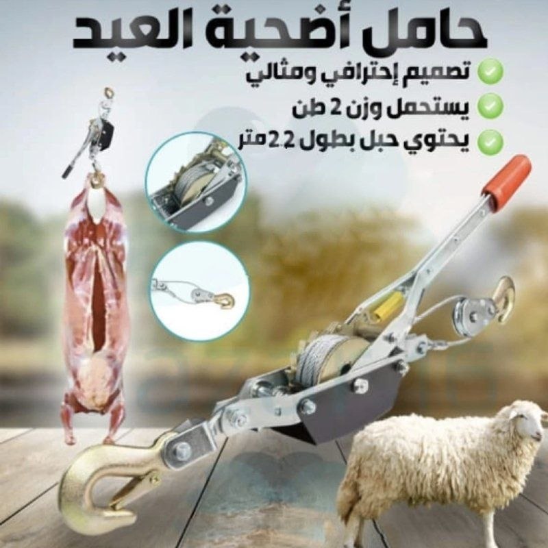 حامل أضحية العيد