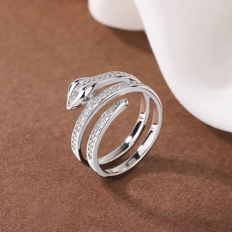montre BVL-GARI serpenti acier inoxidable